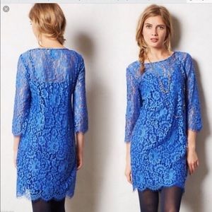 HD in Paris lace shift dress - royal blue